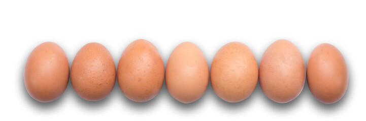 Eggs aligned in a row on white panoramic background