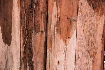 A wet wood background. Texture of a wood.  A Vintage and Natural material for the background.