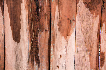 A wet wood background. Texture of a wood.  A Vintage and Natural material for the background.