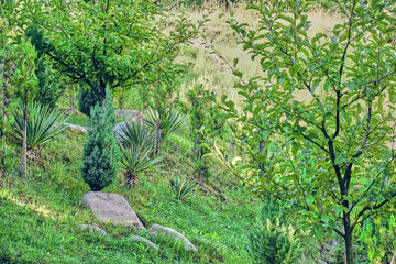 Stone-Rock based garden decoration consept