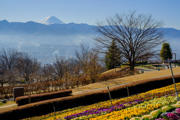 笛吹川フルーツ公園からの富士山