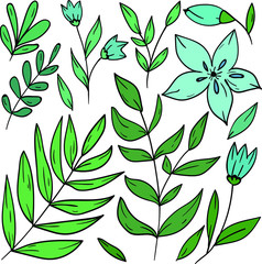 Vector color illustration with leaf, leaves and blue flowers on white background. Good for printing. Postcard and logo design. Hand drawn spring bouquet. Isolated set.