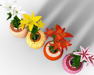 colorful flowers in personalized vases. white, yellow, red, purple, pink, orange. 3D illustration. Decorative, modern, vintage, ornamental plants, bright colors, cozy home, luxurious, green, isolated