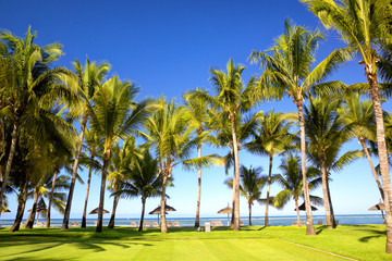 Tropical palm beach in Mauritius Island