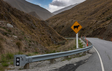 Crown range road. Highlands. New Zealand. Sign watch for cattle