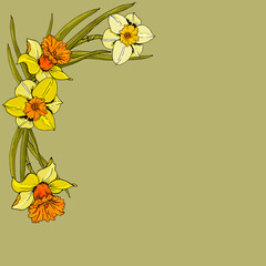 Elegant floral backgrounds with daffodil garden flower, delicate greenery, print frame, copy space.