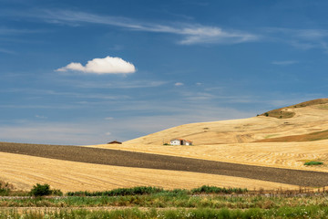 Fototapeta na wymiar Rural landscape in Basilicata at summer