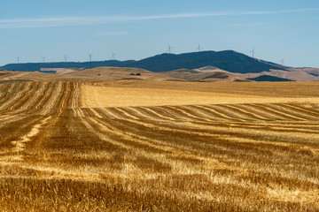 Fototapeta na wymiar Rural landscape in Basilicata at summer