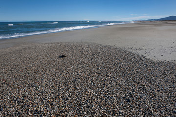 Haast beach and coast. Road to Jackson bay. Westcoast New Zealand. 