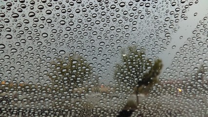 Rain on windshield