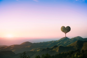 A heart shaped tree in a mountain and beautiful sky background.