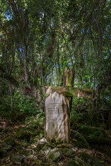 Jackson Bay. Historic cemetry. Graveyard. Wooden cross. Thombstone.