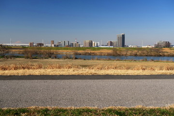 ２月の朝の江戸川風景