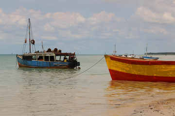 old traditional sailing boats in the sea of