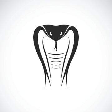 Vector of snake head design on white background. Animals. Reptile. Cobra logo or icon. Easy editable layered vector illustration.
