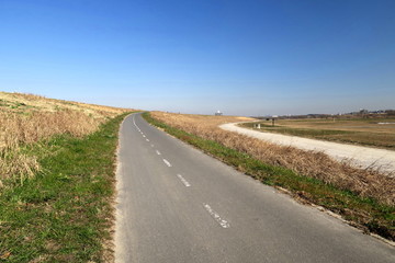 早春の朝の江戸川サイクリング道路風景