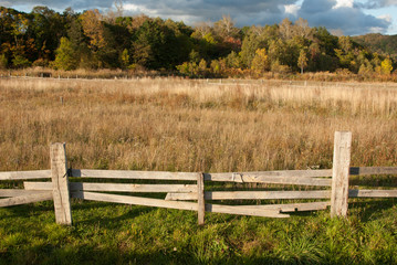 牧場の木製柵