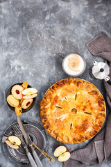 Obraz na płótnie Canvas Homemade fresh baked delicious classic american apple pie, gray background, top view