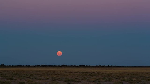 Static timelapse of the Full moon rising over a dry desolate landscape in Africa as night falls over the barren landscape, with hot and cold air distorting the atmosphere, Botswana, Central Kalahari.