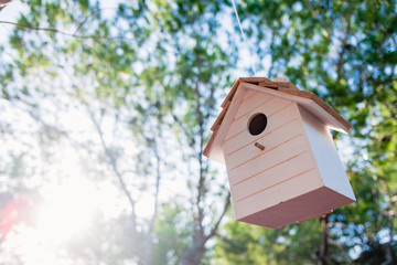 Shelter for wild wood birds hanging from branches in a forest, copy space.