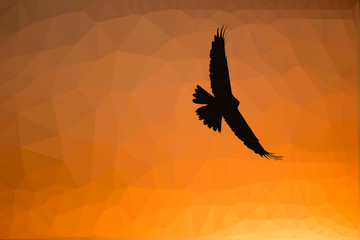 Bird polygonal low poly geometric. Bird of prey. ORange background.
