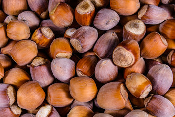 Pile of the hazelnuts for background. Healthy eating