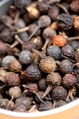 Kubebenpfeffer, Piper Cubeba