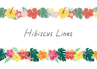 ハイビスカスのライン2種