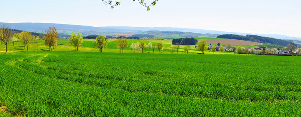 Fototapeta na wymiar Morbach Heinzerath Panorama im Frühling