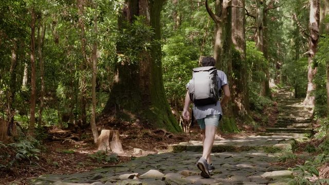 Man hiking with backpack on Kumano Kodo Trail via Daimon-Zaka, slow glidecam vertical camera motion; Kansai region, Japan