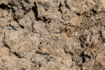 Stone texture and background. Rock mineral exclusive unique texture