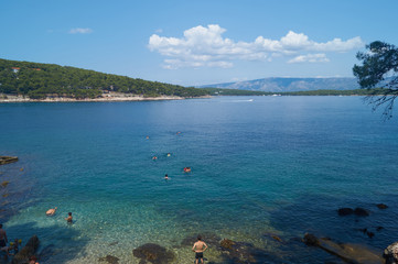 aerial view of the coast