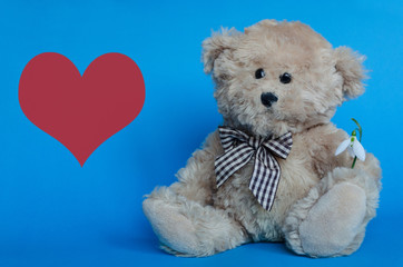 Cute teddy bear holding a snowdrop, with red hearts on background for Valentine's Day and love celebrations