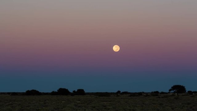 Static timelapse of the Full moon setting over a dry desolate landscape in Africa as the day break at sunrise with the sun lighting up the barren landscape, Botswana.