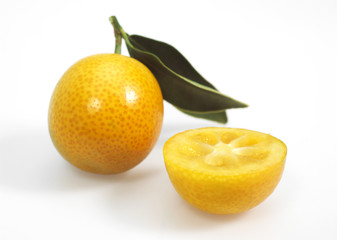 KUMQUAT