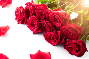 Bouquet of red roses with peatals on a white background for Valentines day. Isolated on white.