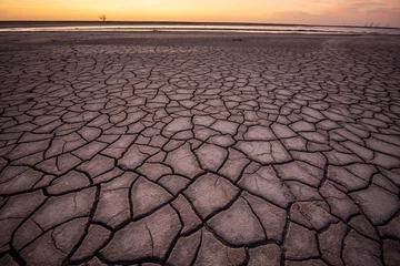 Gordijnen Drought on the pampas © nickalbi