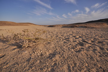 Deserto