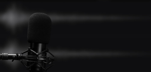 professional microphone for studio recording audio