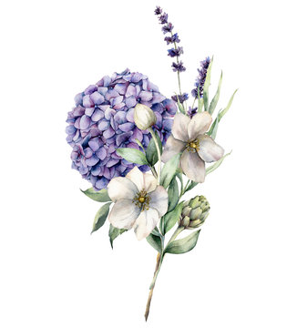 Watercolor floral card with bouquet of hydrangea, anemone, artichoke and lavender. Hand painted holiday flowers isolated on white background. Spring illustration for design, print, fabric, background.