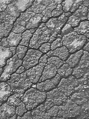 Cracks on the pavement as an abstract background.  Black and white photo.