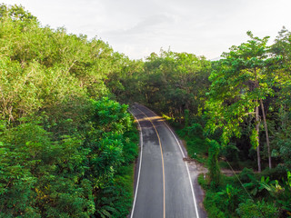 Rural Asphalt road through tropical rainforestgreen tree