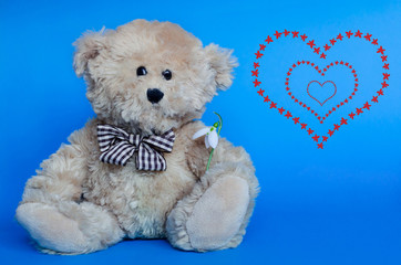 Cute teddy bear holding a snowdrop, with red hearts on background for Valentine's Day and love celebrations