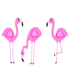 flamingo illustration vector nursery