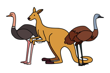 animals of australia on white background