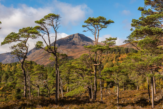 25 Glen Affric Valley Stock Photos, High-Res Pictures, and Images - Getty  Images