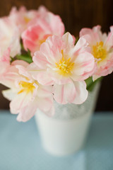 Bouquet of tulips with pink and white petals in white metal vase. Waiting for spring