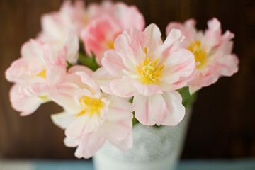 Bouquet of tulips with pink and white petals in white metal vase. Waiting for spring
