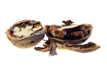 nut isolated on white background