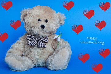 Cute teddy bear holding a snowdrop, with red hearts on background for Valentine's Day and love celebrations